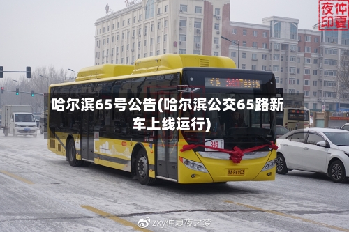 哈尔滨65号公告(哈尔滨公交65路新车上线运行)-第2张图片