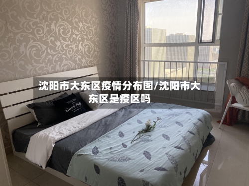 沈阳市大东区疫情分布图/沈阳市大东区是疫区吗-第2张图片