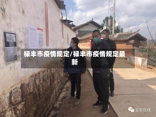 禄丰市疫情规定/禄丰市疫情规定最新-第2张图片
