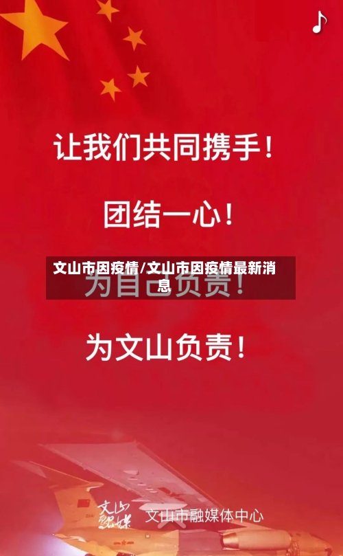 文山市因疫情/文山市因疫情最新消息-第2张图片