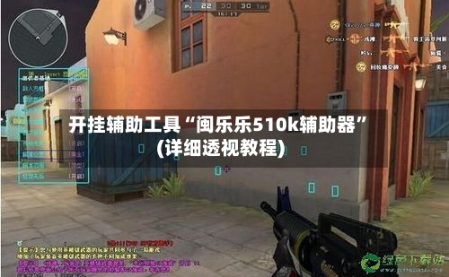 开挂辅助工具“闽乐乐510k辅助器”(详细透视教程)-第2张图片