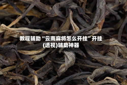 教程辅助“云南麻将怎么开挂”开挂(透视)辅助神器-第3张图片