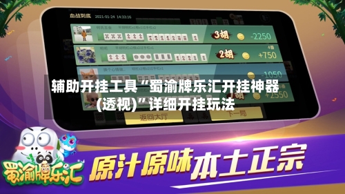 辅助开挂工具“蜀渝牌乐汇开挂神器(透视)”详细开挂玩法-第1张图片