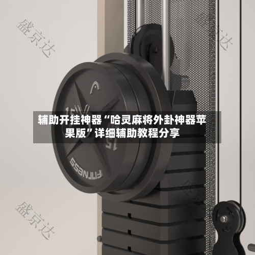 辅助开挂神器“哈灵麻将外卦神器苹果版”详细辅助教程分享-第1张图片