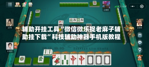 辅助开挂工具“微信微乐捉老麻子辅助挂下载”科技辅助神器手机版教程-第1张图片