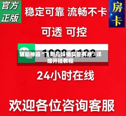 辅助神器“飞鹰互娱确实是有挂”详细开挂教程-第2张图片