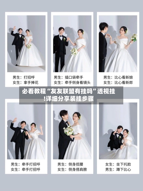 必看教程“友友联盟有挂吗”透视挂!详细分享装挂步骤-第1张图片