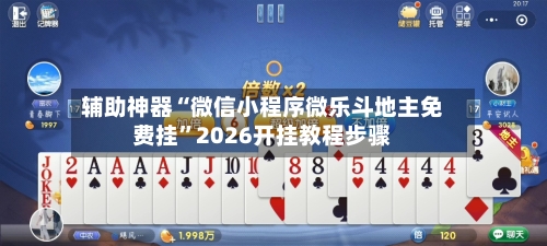 辅助神器“微信小程序微乐斗地主免费挂”2026开挂教程步骤-第3张图片