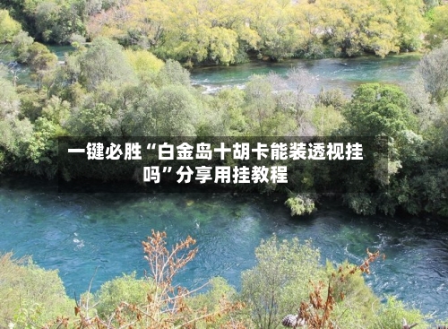 一键必胜“白金岛十胡卡能装透视挂吗”分享用挂教程-第2张图片