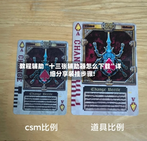 教程辅助“十三张辅助器怎么下载”详细分享装挂步骤!-第2张图片