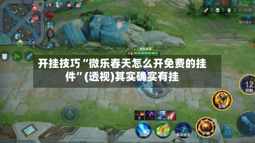 开挂技巧“微乐春天怎么开免费的挂件”(透视)其实确实有挂-第2张图片