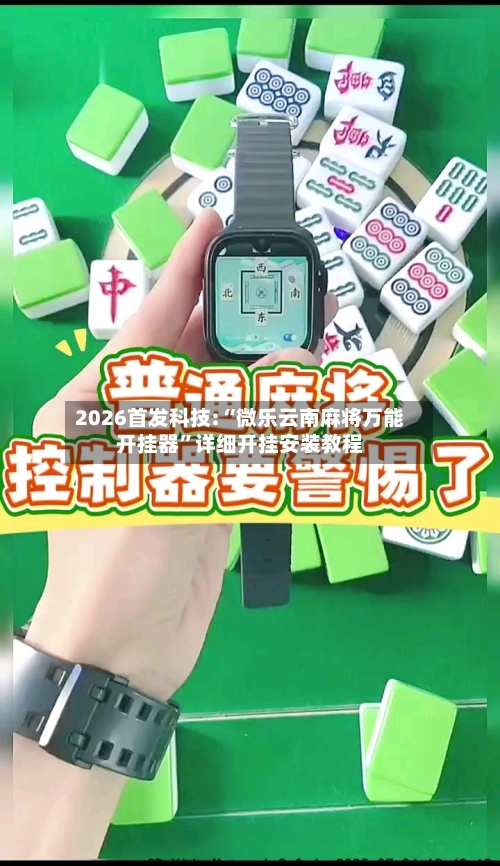 2026首发科技:“微乐云南麻将万能开挂器	”详细开挂安装教程-第3张图片