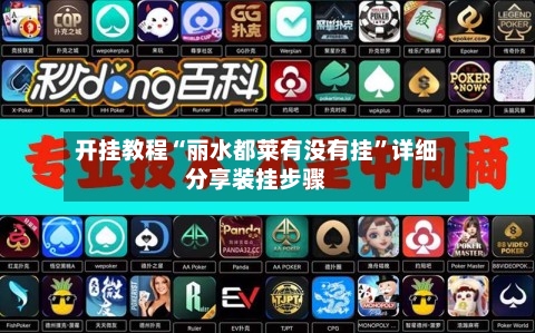 开挂教程“丽水都莱有没有挂”详细分享装挂步骤-第1张图片