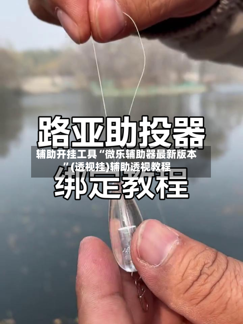 辅助开挂工具“微乐辅助器最新版本”(透视挂)辅助透视教程-第3张图片