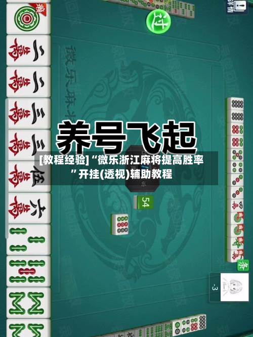 [教程经验]“微乐浙江麻将提高胜率	”开挂(透视)辅助教程-第2张图片