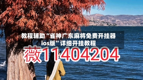 教程辅助“雀神广东麻将免费开挂器ios版”详细开挂教程-第2张图片