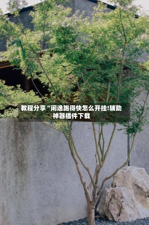 教程分享“闲逸跑得快怎么开挂!辅助神器插件下载-第1张图片