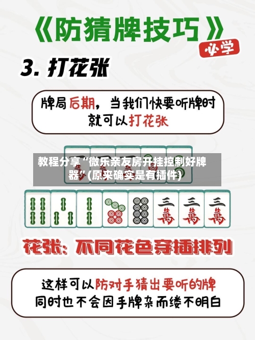 教程分享“微乐亲友房开挂控制好牌器	”(原来确实是有插件)-第2张图片