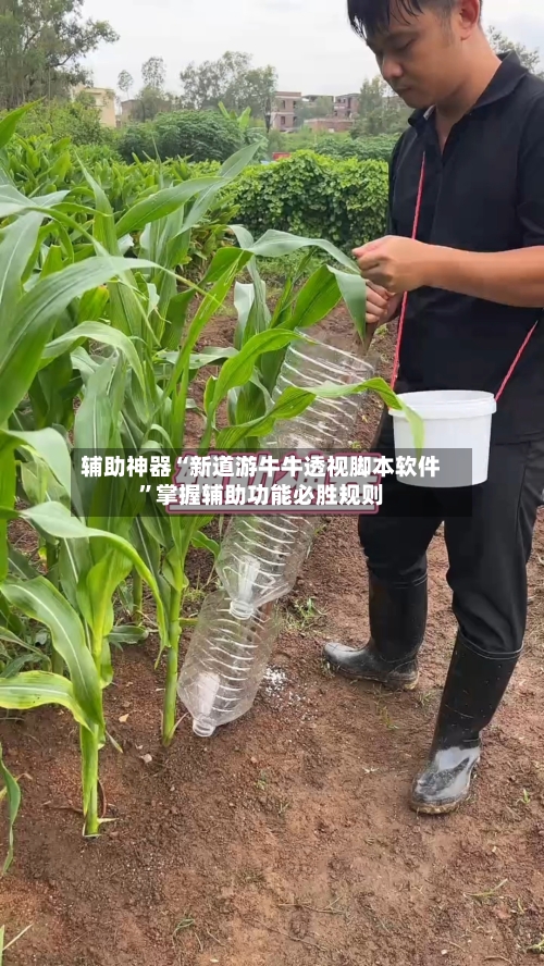 辅助神器“新道游牛牛透视脚本软件”掌握辅助功能必胜规则-第3张图片