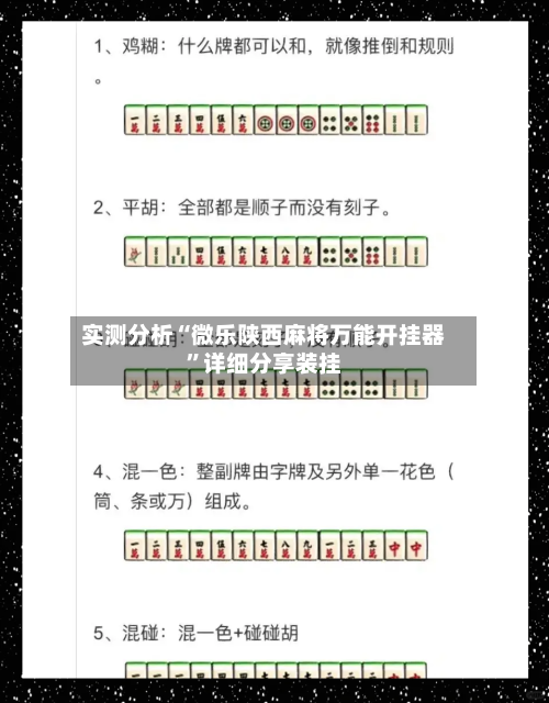 实测分析“微乐陕西麻将万能开挂器”详细分享装挂-第3张图片