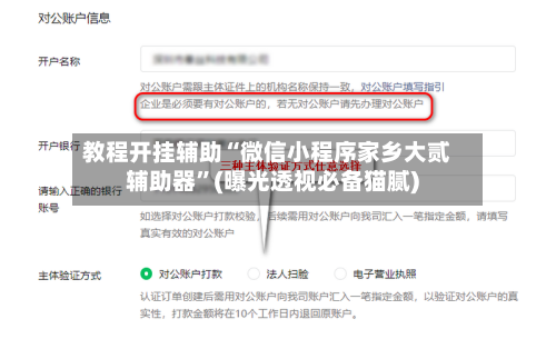 教程开挂辅助“微信小程序家乡大贰辅助器	”(曝光透视必备猫腻)-第1张图片