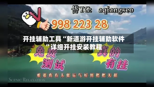 开挂辅助工具“新道游开挂辅助软件”详细开挂安装教程-第2张图片