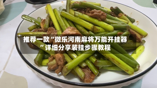 推荐一款“微乐河南麻将万能开挂器”详细分享装挂步骤教程-第2张图片