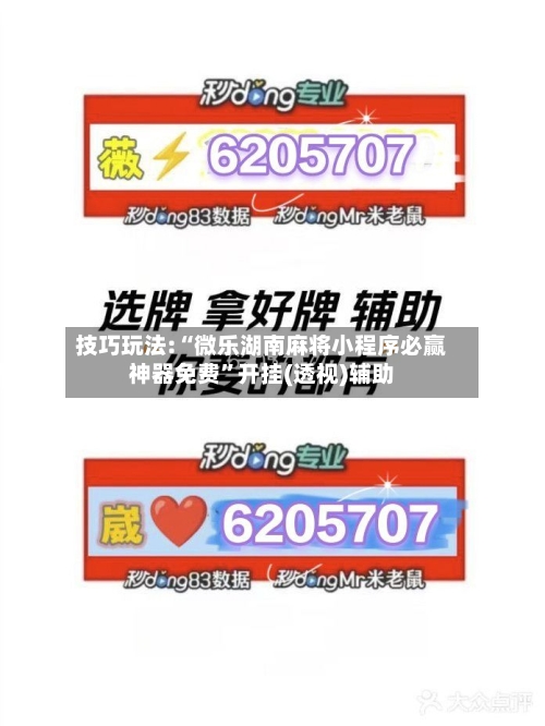 技巧玩法:“微乐湖南麻将小程序必赢神器免费”开挂(透视)辅助-第2张图片