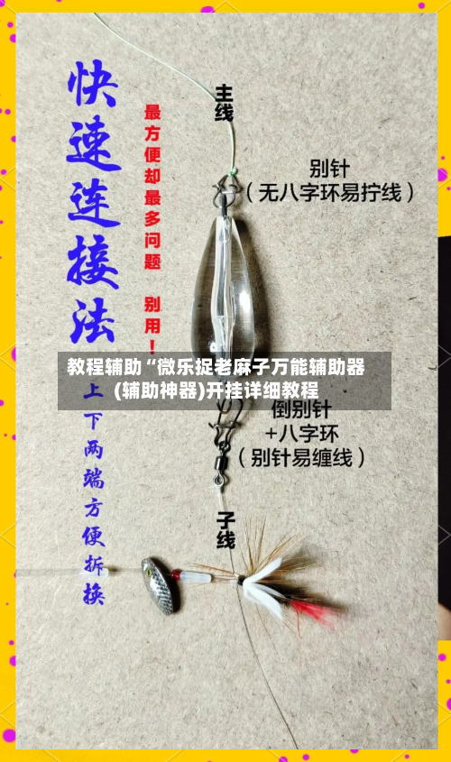 教程辅助“微乐捉老麻子万能辅助器(辅助神器)开挂详细教程-第1张图片