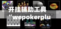 开挂辅助工具“wepokerplus德州局辅助(透视)”(必备工具)辅助教学-第1张图片