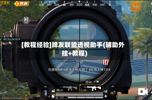 [教程经验]牌友联盟透视助手(辅助外挂+教程)-第3张图片