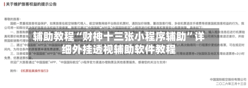 辅助教程“财神十三张小程序辅助”详细外挂透视辅助软件教程-第2张图片
