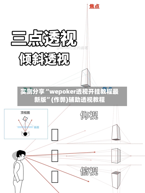 实测分享“wepoker透视开挂教程最新版”(作弊)辅助透视教程-第3张图片