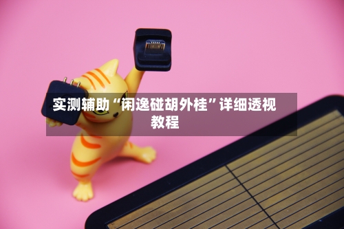 实测辅助“闲逸碰胡外桂”详细透视教程-第2张图片