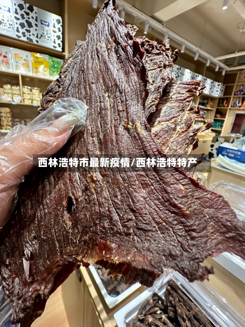 西林浩特市最新疫情/西林浩特特产-第1张图片