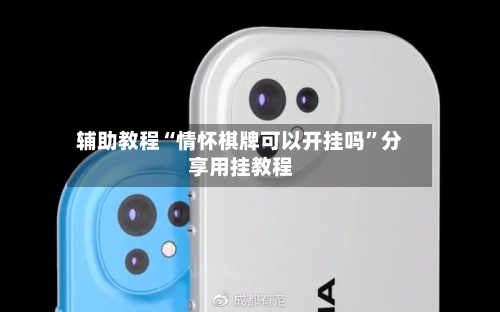 辅助教程“情怀棋牌可以开挂吗”分享用挂教程-第3张图片