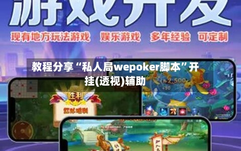 教程分享“私人局wepoker脚本”开挂(透视)辅助-第1张图片