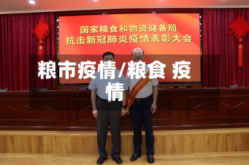 粮市疫情/粮食 疫情-第3张图片