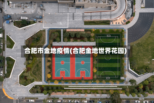 合肥市金地疫情(合肥金地世界花园)-第2张图片