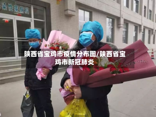 陕西省宝鸡市疫情分布图/陕西省宝鸡市新冠肺炎-第2张图片