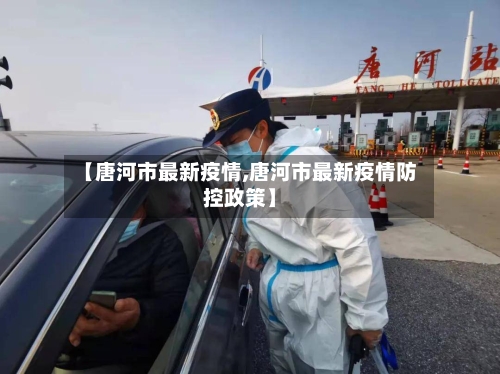 【唐河市最新疫情,唐河市最新疫情防控政策】-第3张图片