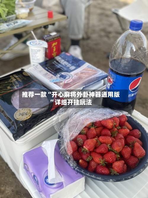 推荐一款“开心麻将外卦神器通用版”详细开挂玩法-第1张图片