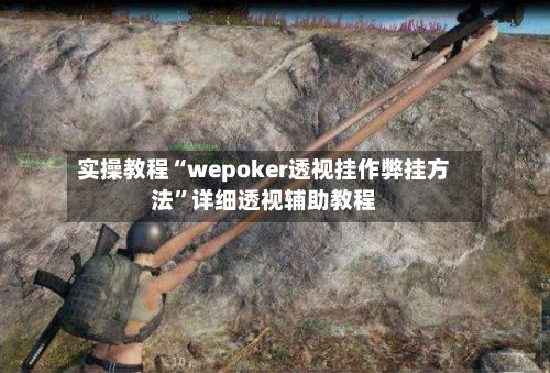 实操教程“wepoker透视挂作弊挂方法”详细透视辅助教程-第1张图片
