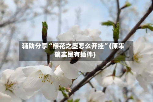 辅助分享“樱花之盛怎么开挂	”(原来确实是有插件)-第2张图片