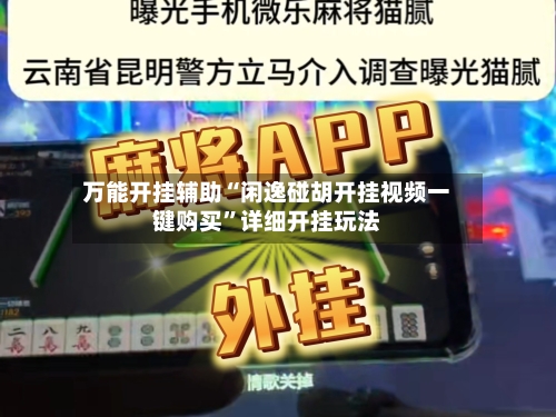 万能开挂辅助“闲逸碰胡开挂视频一键购买	”详细开挂玩法-第1张图片