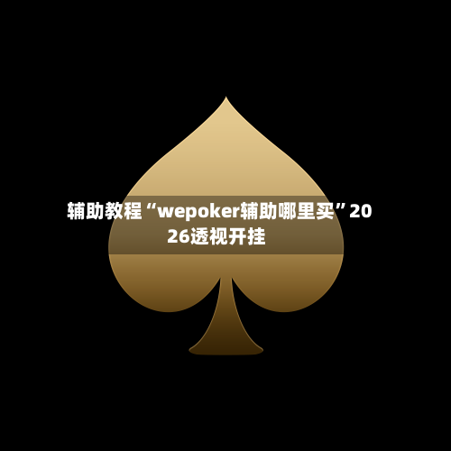 辅助教程“wepoker辅助哪里买”2026透视开挂-第1张图片