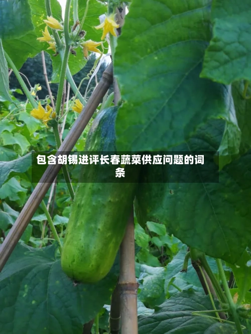 包含胡锡进评长春蔬菜供应问题的词条-第1张图片