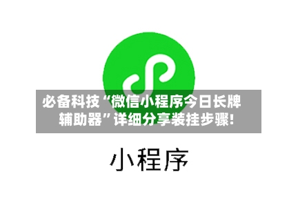 必备科技“微信小程序今日长牌辅助器”详细分享装挂步骤!-第3张图片