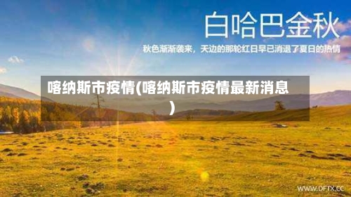 喀纳斯市疫情(喀纳斯市疫情最新消息)-第3张图片