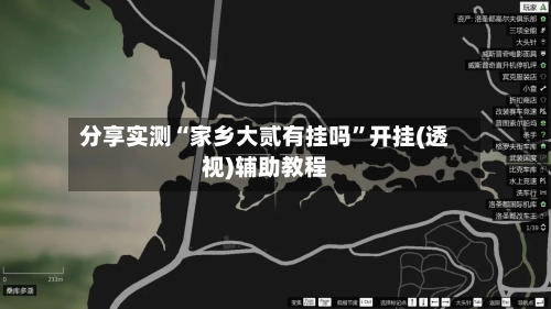 分享实测“家乡大贰有挂吗”开挂(透视)辅助教程-第1张图片